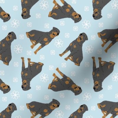 Tiny Rottweiler - winter snowflakes