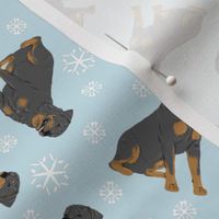 Tiny Rottweiler - winter snowflakes