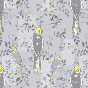 Cockatiels in yellow and grey