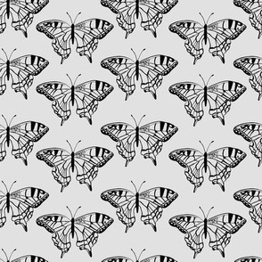 Swallowtail Butterflies Outline in Black and Grey - Med