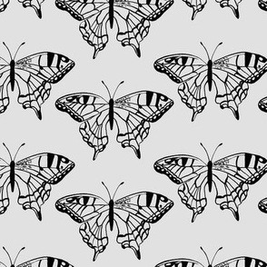 Swallowtail Butterflies Outline in Black and Grey - LG