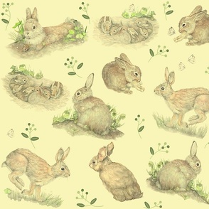 Bunny Rabbits On Butter Yellow