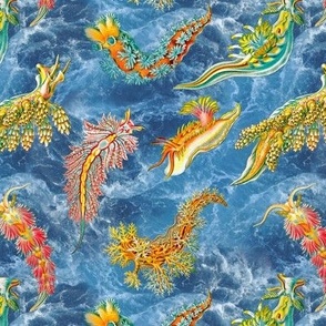 Ernst Haeckel Nudibranch on Ocean Water