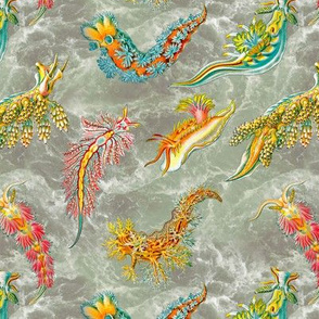 Ernst Haeckel Nudibranch Green Ocean  Water