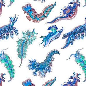 Ernst Haeckel Blue Hue Nudibranch on White