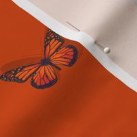 butterfly-red orange