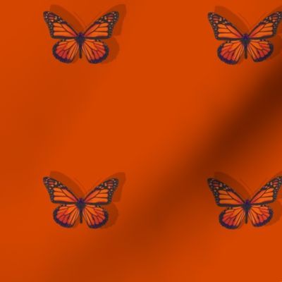 butterfly-red orange