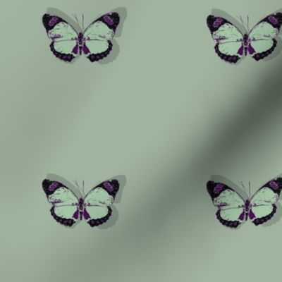 butterfly-green