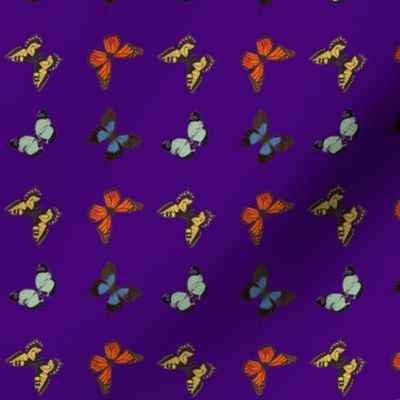 butterflies-violet