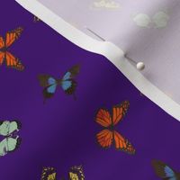 butterflies-violet