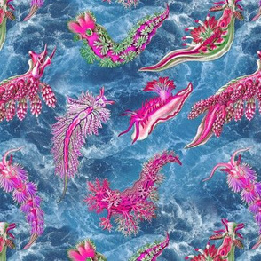 Ernst Haeckel Pink Hue Nudibranch Ocean Waves