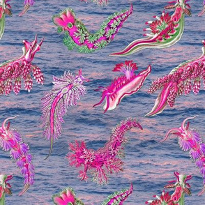 Ernst Haeckel Pink Hue Nudibranch on Sunset Ocean Waves