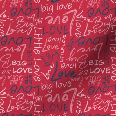 Big Little Love - Pink Blue on Red Small Scale