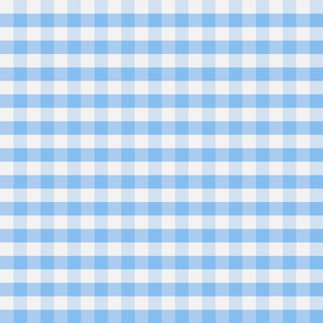 Blue Gingham Linen