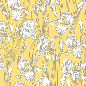 Toile Twilight Iris | Warm Yellow-Soft Gray-White