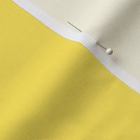 Optimistic Yellow Pantone 2021