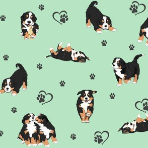 Bernese Mountain Dog Berner Green Paw Prints Spoonflower Fabric by the Yard 