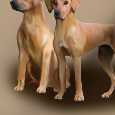 Rhodesan ridgeback three