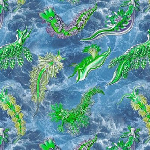 Ernst Haeckel Green Nudibranch Ocean Water