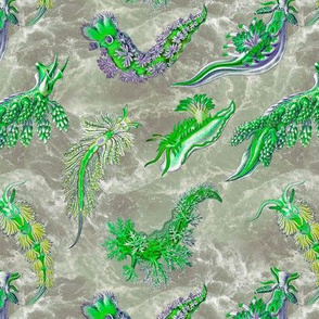Ernst Haeckel Green Nudibranch Green Ocean