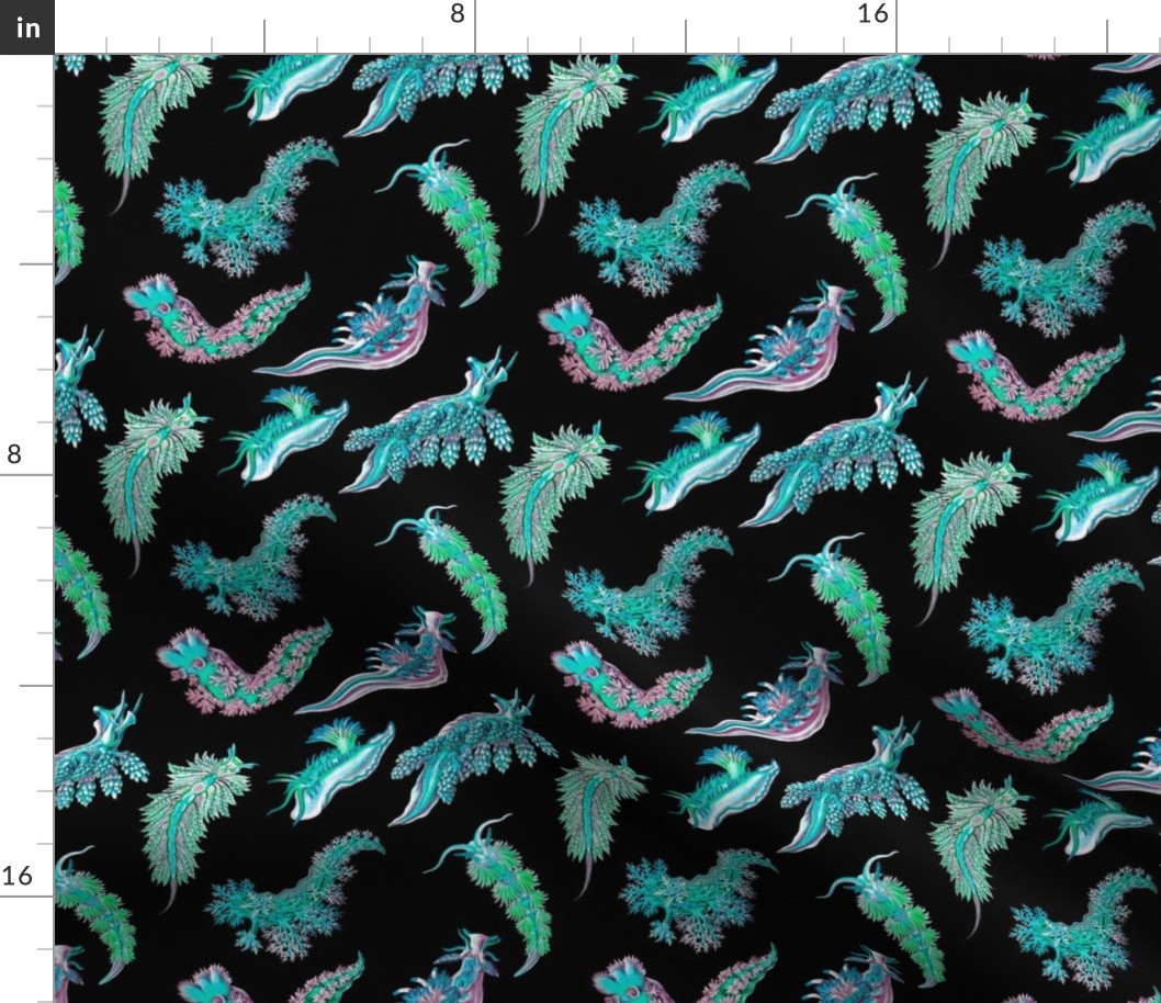 Ernst Haeckel Teal Nudibranch Black Background