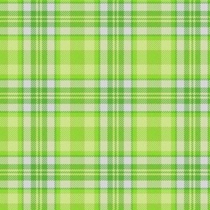 Lime Green White Boxes Plaid