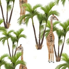 Tropical Giraffes