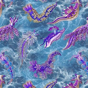 Ernst Haeckel Purple Hue Nudibranch Ocean Waves