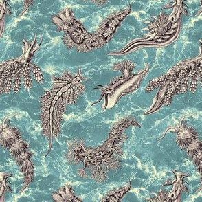 Ernst Haeckel Aubergine Nudibranch  Teal Water