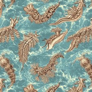 Ernst Haeckel Sepia Nudibranch Teal Water