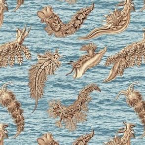 Ernst Haeckel Sepia Nudibranch  Sunset Ocean Waves