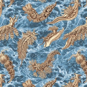 Ernst Haeckel Sepia Nudibranch on Indigo Water