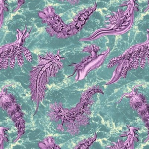 Ernst Haeckel  Lilac  Nudibranch Teal Water