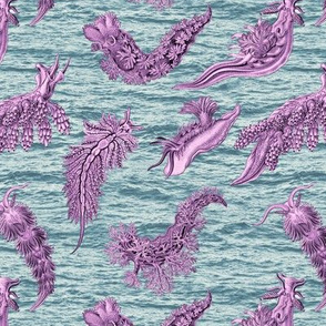 Ernst Haeckel  Lilac  Nudibranch Ocean Waves