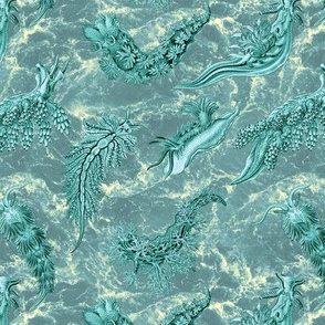 Ernst Haeckel Aqua Nudibranch Teal Water