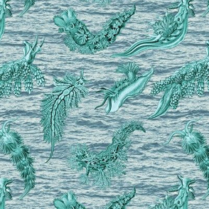 Ernst Haeckel Aqua Nudibranch Cerulean Ocean Waves