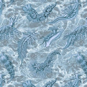 Ernst Haeckel Steel Blue Nudibranch Pale Ocean Water