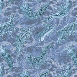 Ernst Haeckel Steel Blue Nudibranch Indigo Water