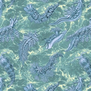 Ernst Haeckel Steel Blue Nudibranch Teal Water