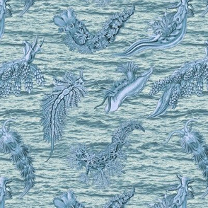 Ernst Haeckel Steel Blue Nudibranch Cerulean Ocean Waves