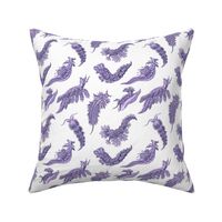 Ernst Haeckel Lilac Nudibranch on White