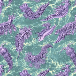 Ernst Haeckel Lilac Nudibranch Teal Water