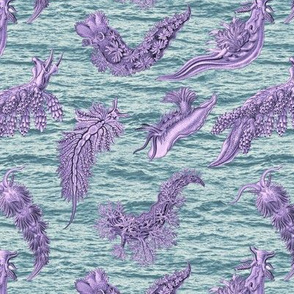 Ernst Haeckel Lilac Nudibranch Cerulean  Ocean Waves