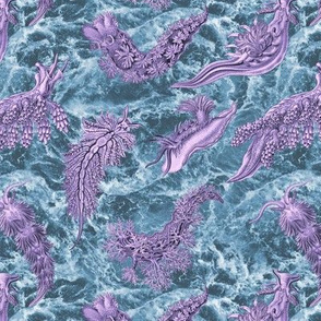 Ernst Haeckel Lilac Nudibranch Indigo Water