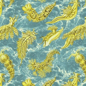 Ernst Haeckel Yellow Nudibranch Teal Water