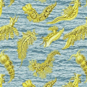 Ernst Haeckel  Yellow Nudibranch Cerulean Ocean Waves