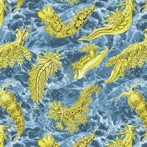 Ernst Haeckel Yellow Nudibranch Indigo Water