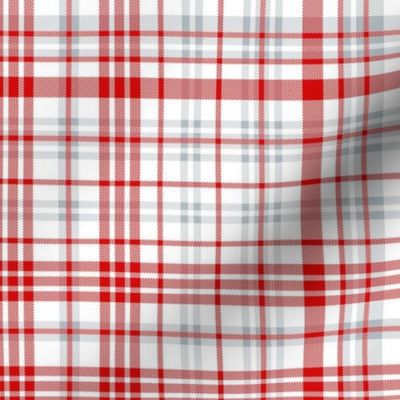 tampa bay plaid fabric - sports 