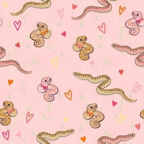 Heartthrob Hog Nose Snakes, Blush