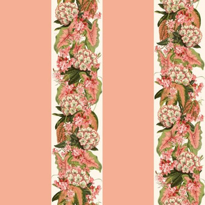 RHODODENDRON STRIPE - RHODODENDRON COLLECTION  (BLUSH CORAL)